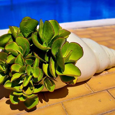 Flh Vilamoura Summer Apartment With Pool Extérieur photo